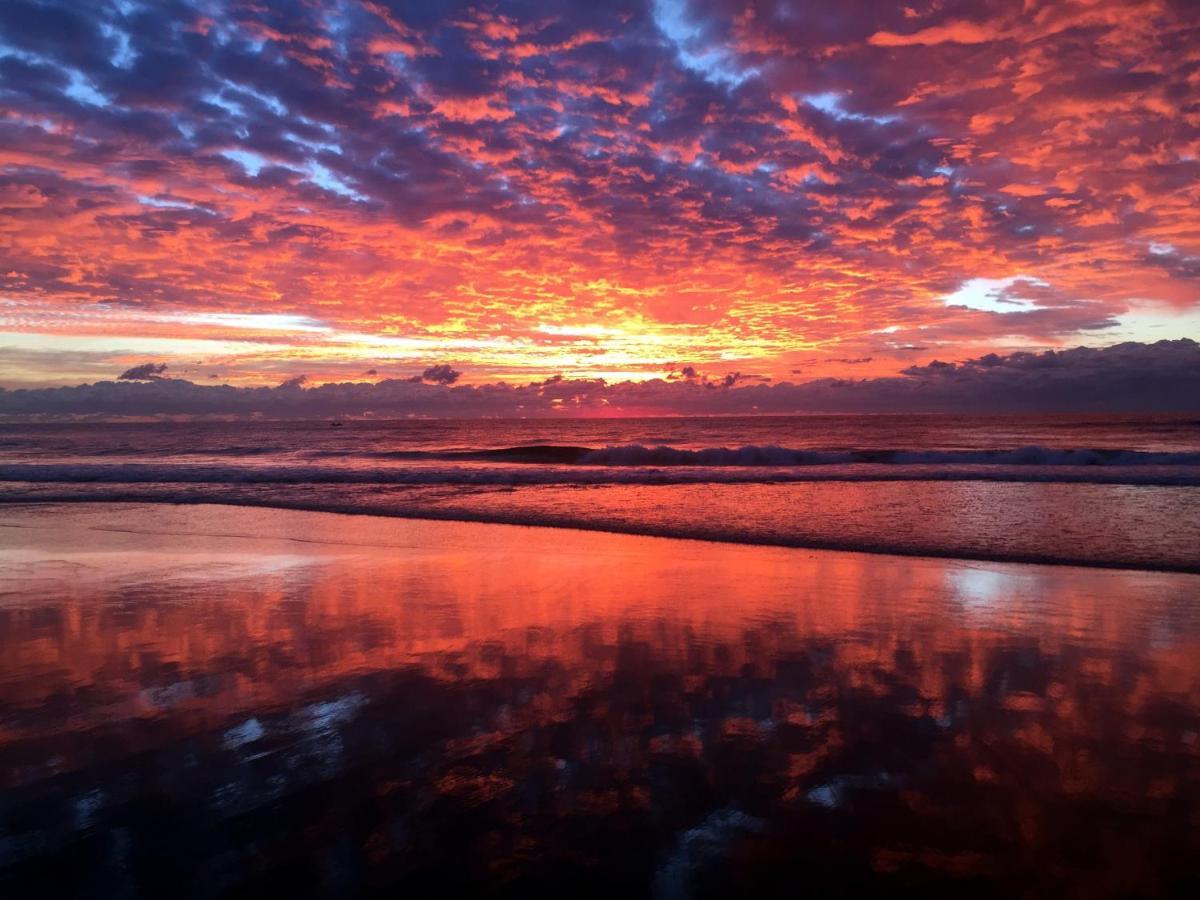 Absolutely Stunning! On The Beach !!! Gold Coast Extérieur photo